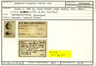 Karteikarte zum Holotyp von Lingulina decipiens Stache, 1864